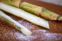 Com queda do petróleo, açúcar recua em Nova York