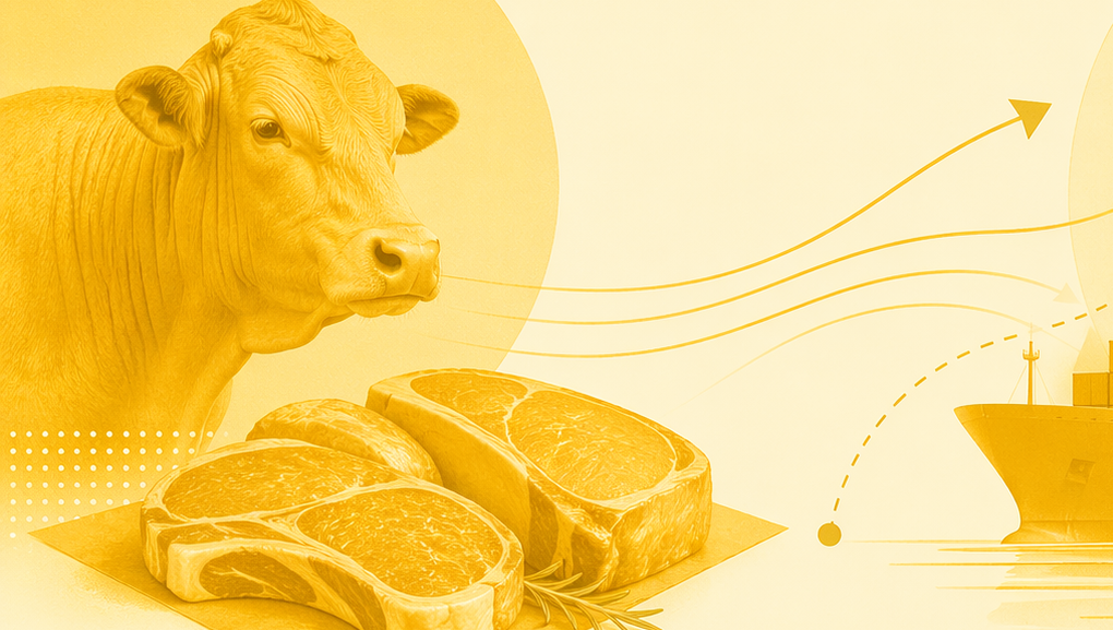 Carne bovina brasileira fica fora de sobretaxa de 12,5% dos EUA
