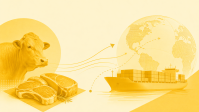 Assim como o Brasil, a Austrália está perto de esgotar cota para a China
