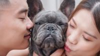 Entenda novas regras para guarda compartilhada de pets em caso de divórcio