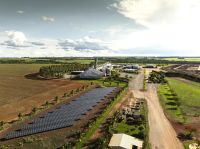 Digitalização impulsiona produtividade e reduz custos no agronegócio