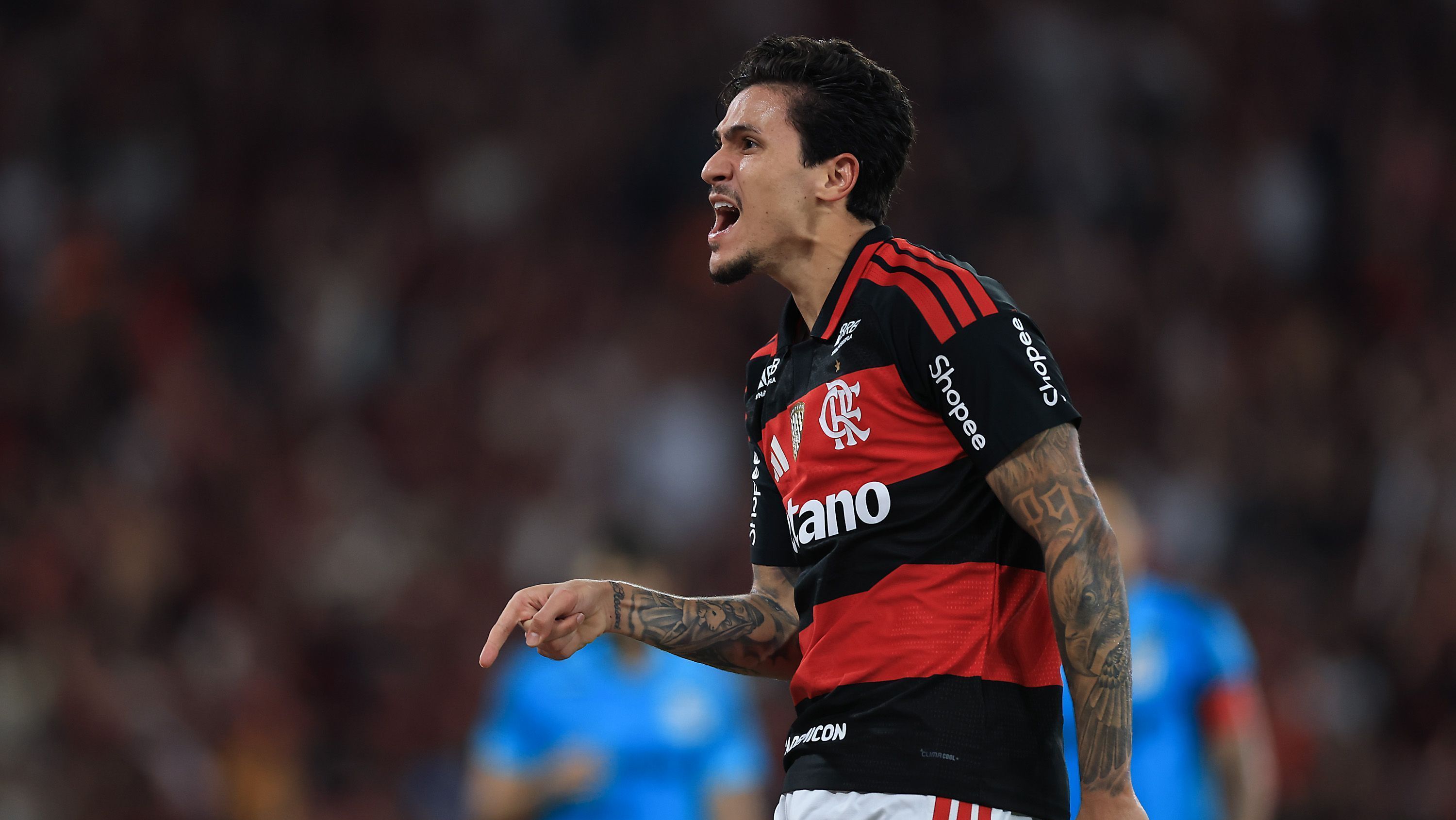 Flamengo v Santos - Brasileirao 2026