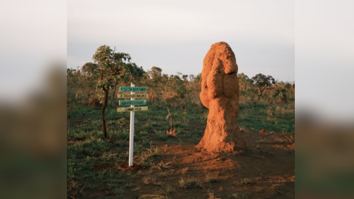 Parque Nacional das Emas, unidade de conservação ambiental