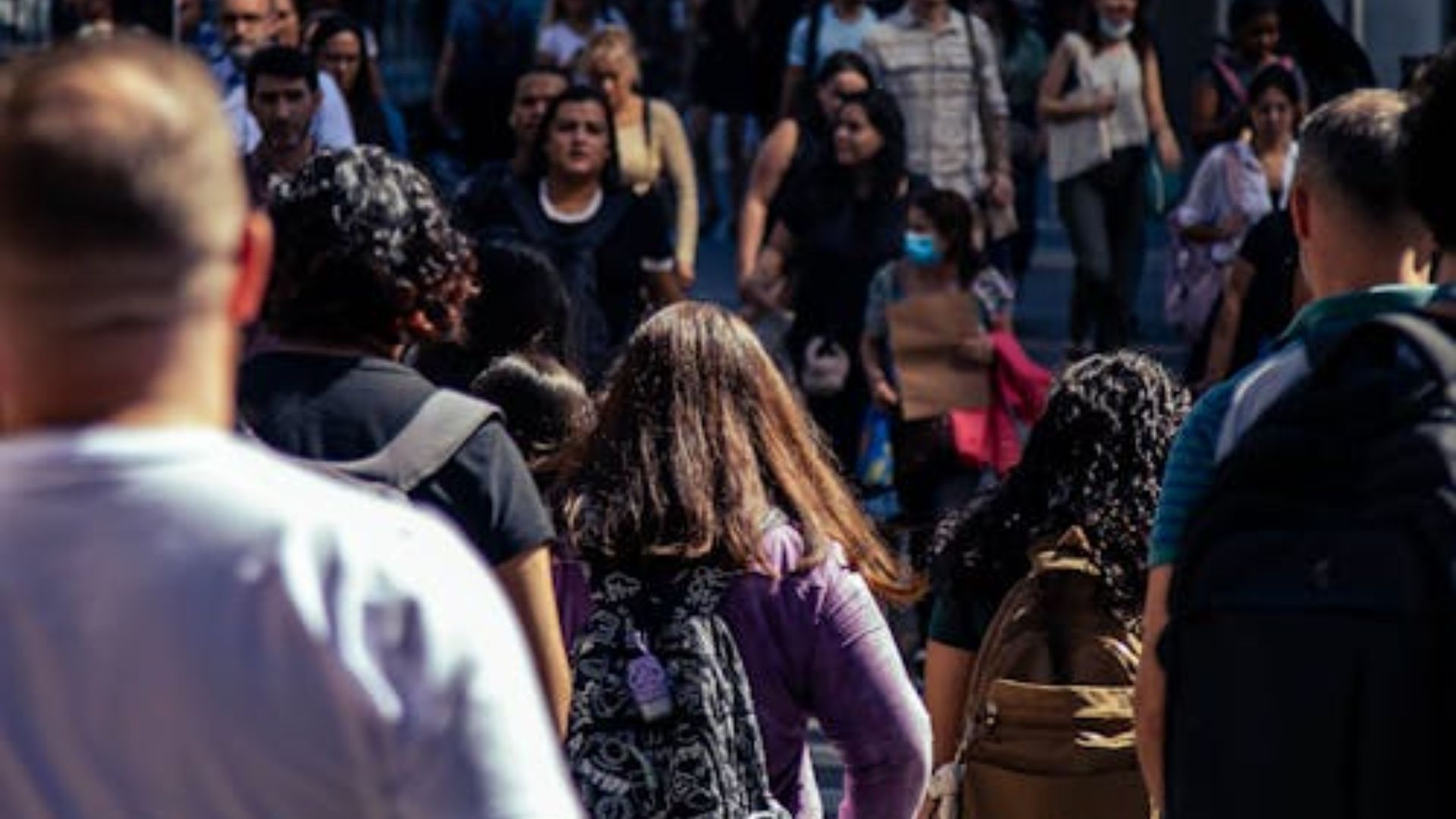 Imagem de destaque do post: As bolsas e os bolsos – transferência de renda é investimento em saúde