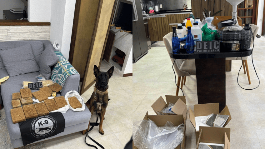 Polícia apreendeu valores em espécie de diferentes nacionalidades avaliados em R$200 mil. • Reprodução