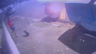 Vídeo: PM da Rota é baleado enquanto passeava com cachorro na Grande SP