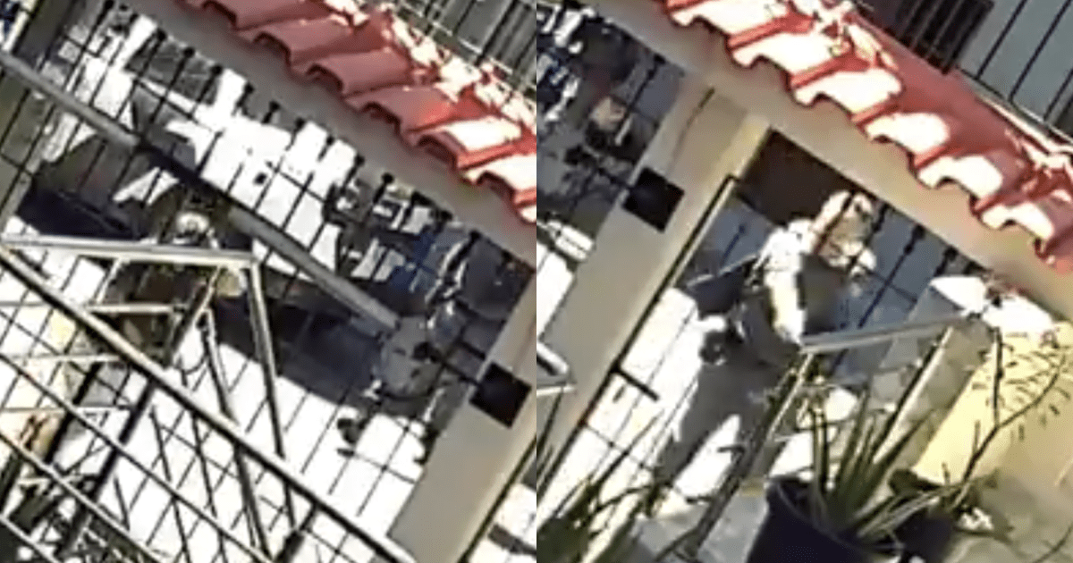 Policial militar é preso após matar casal de mulheres no ES; veja imagens