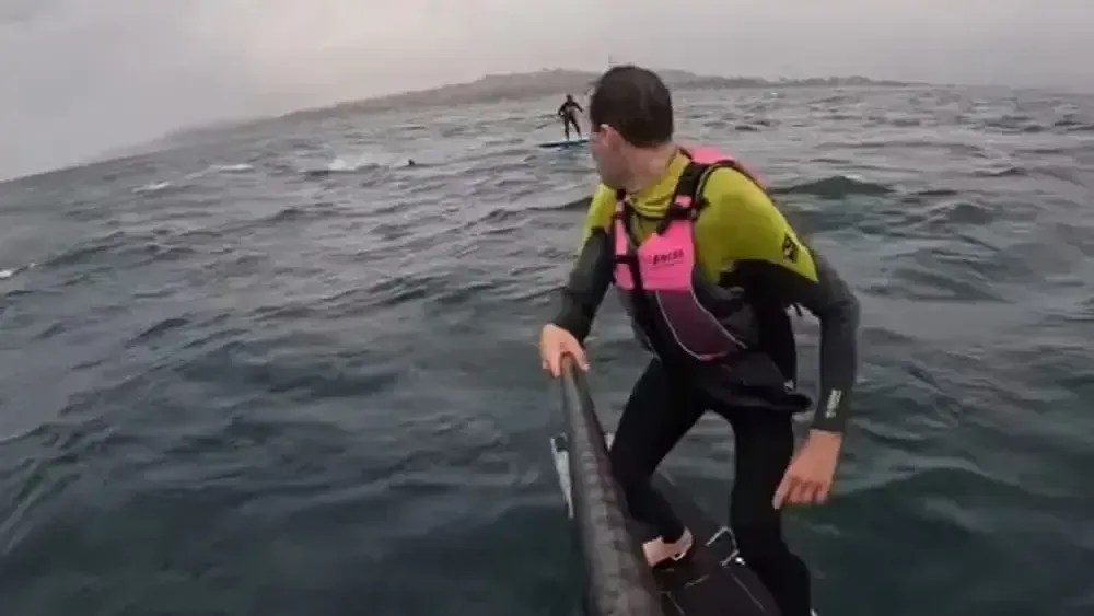 Surfistas são perseguidos por tubarão