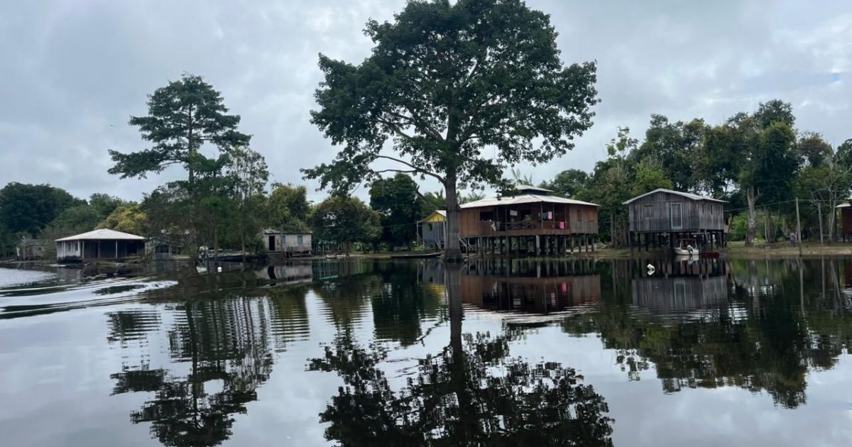 O valor invisível da floresta