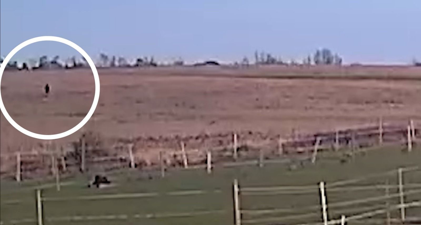 • Polícia de Essex