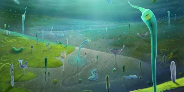 Fósseis chineses revelam uma explosão primordial da evolução animal