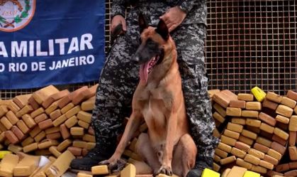 hulk-cão-pmerj
