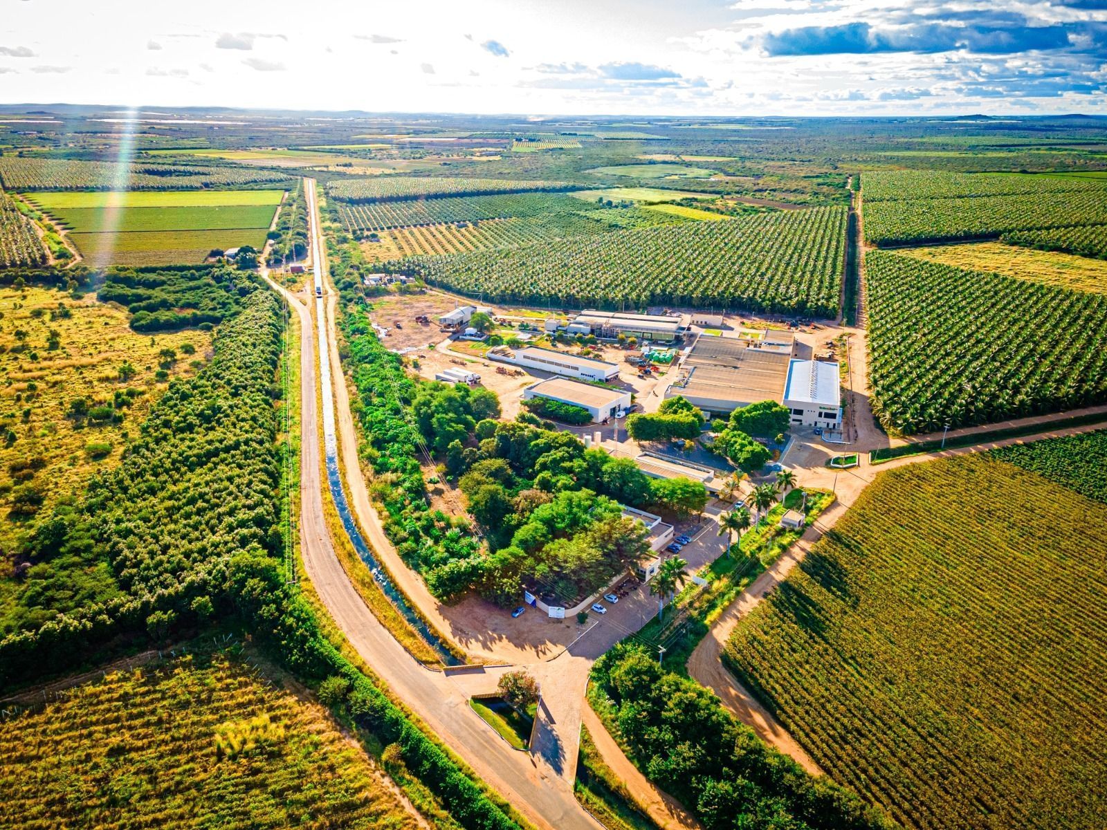 Fábrica de suco de uva Timbaúba, com a marca OQ