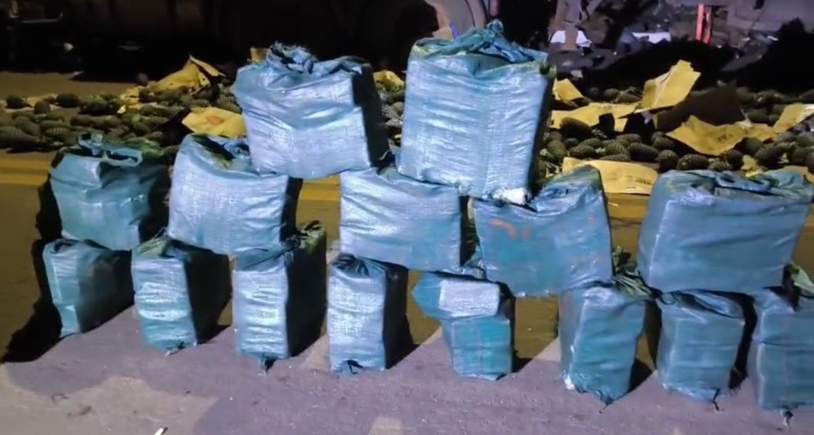 PF intercepta caminhão com drogas escondidas entre abacaxis no Tocantins