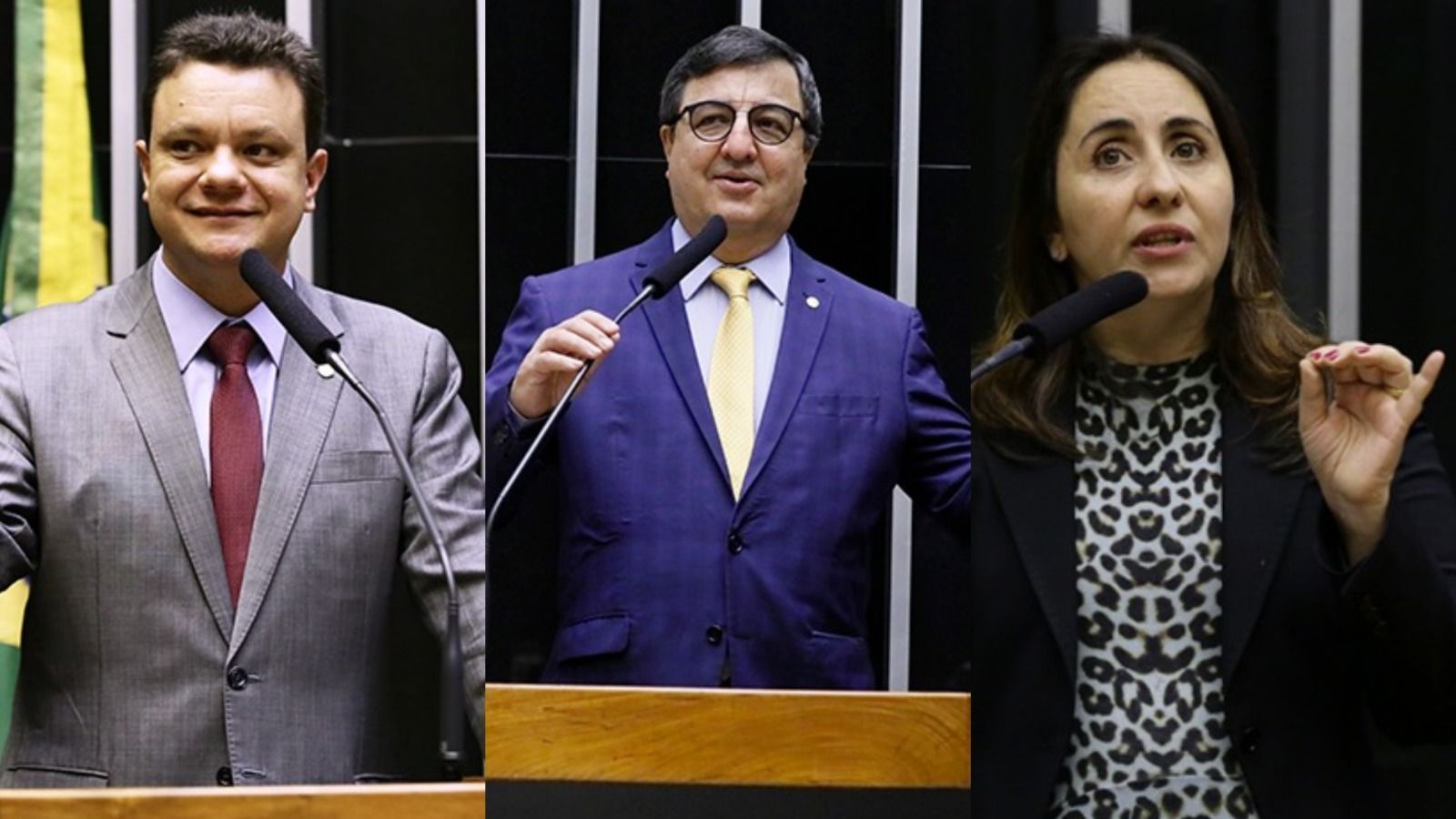 Os deputados Odair Cunha (PT), Danilo Forte (PP) e Adriana Ventura (Novo) • Câmara dos Deputados / Reprodução