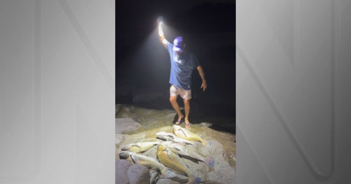 Ibama multa influenciador de SC por pesca de peixe em extinção