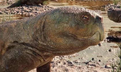 Nova espécie de réptil com bico de papagaio de 230 milhões de anos é descoberta no RS