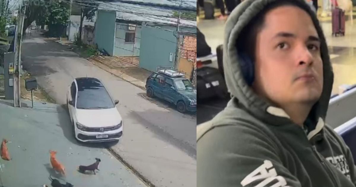 Vídeo: Motorista é preso em aeroporto após atropelar cães em Manaus