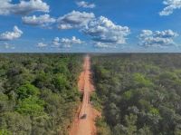 Observatório do Clima vai à Justiça contra obras da BR-319