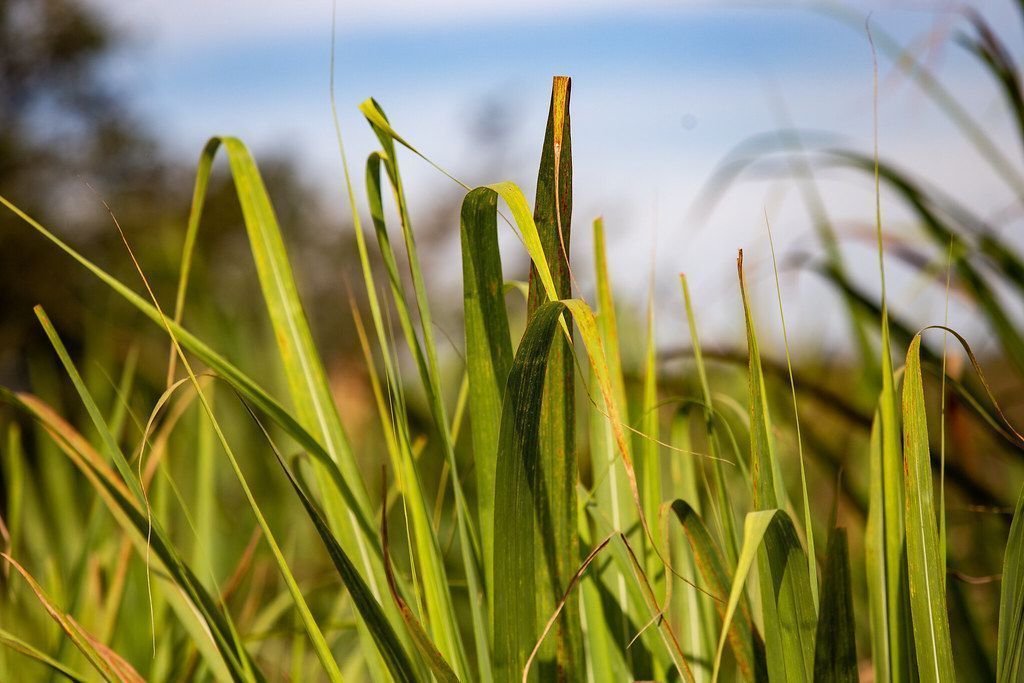 Análise: El Niño influencia temporada de furacões nos EUA