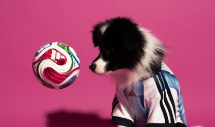 Cachorro com a camisa da Argentina e a bola da Copa 2026