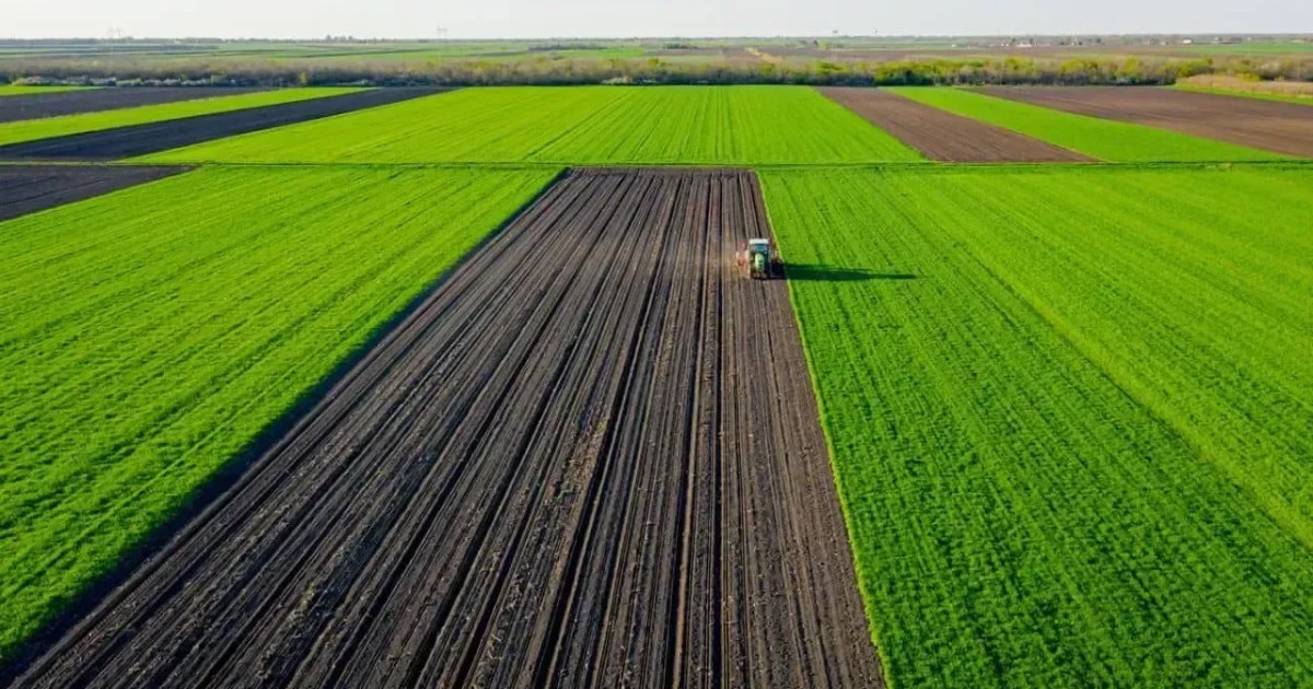 BrasilAgro cancela venda de fazenda após recuperação judicial de comprador