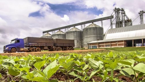 Aliança Agrícola do Cerrado
