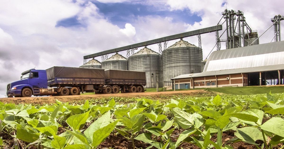 Justiça aprova pedido de recuperação judicial da Aliança Agricola