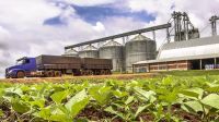 Justiça aprova pedido de recuperação judicial da Aliança Agricola