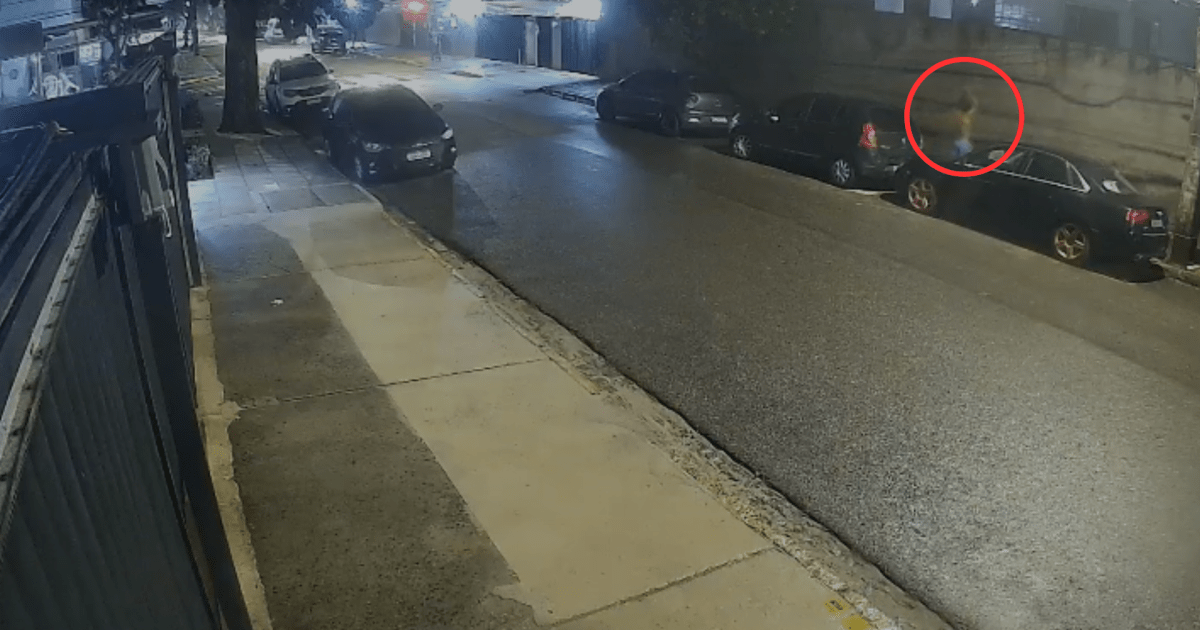 Homem mata capivara a pauladas no Recife; polícia investiga o caso