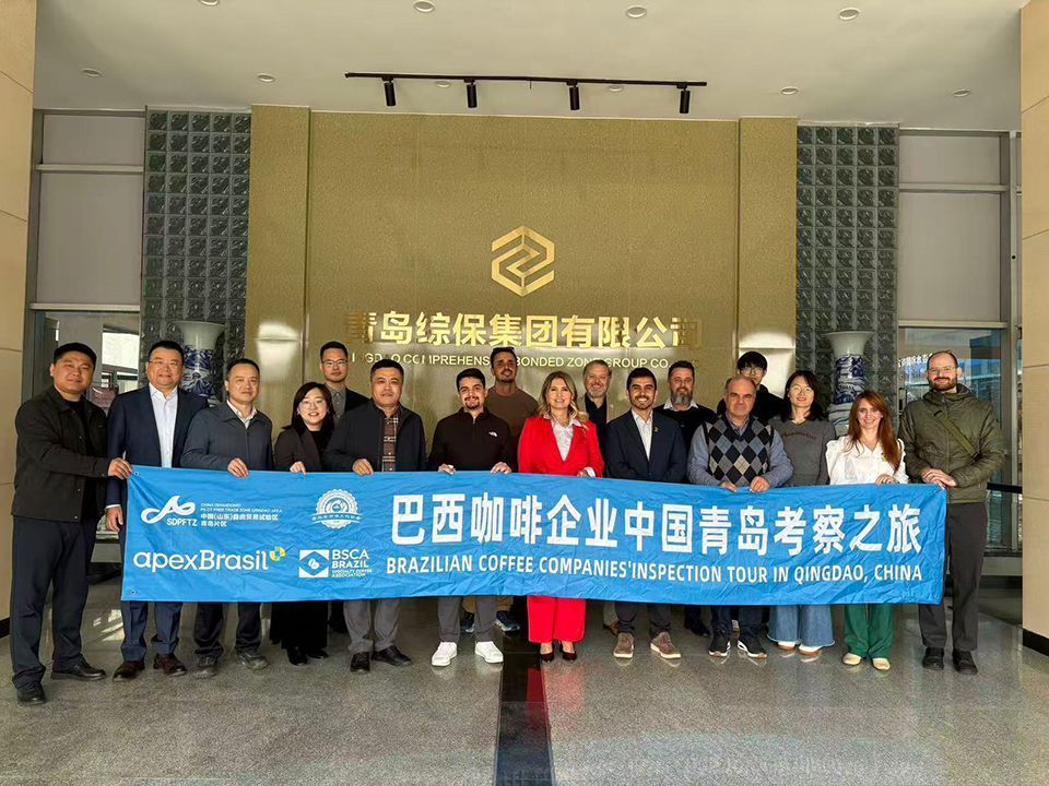 articulação institucional china