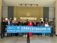 Com China, cafés especiais podem movimentar US$ 110 milhões em 2026