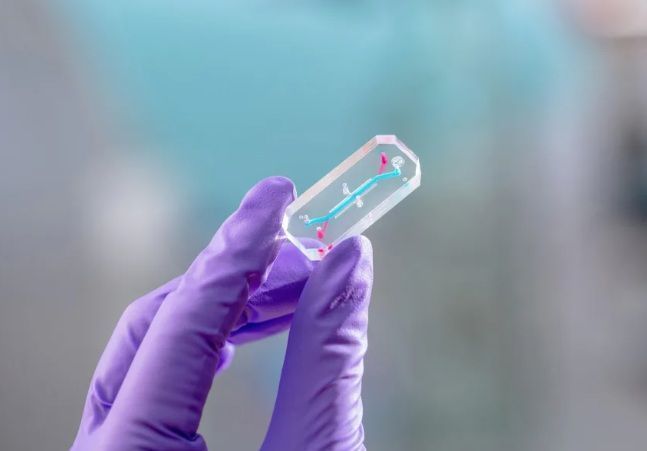 A investigação AVATAR utilizará chips de órgãos para estudar os efeitos do aumento da radiação e da microgravidade na saúde humana • Nasa