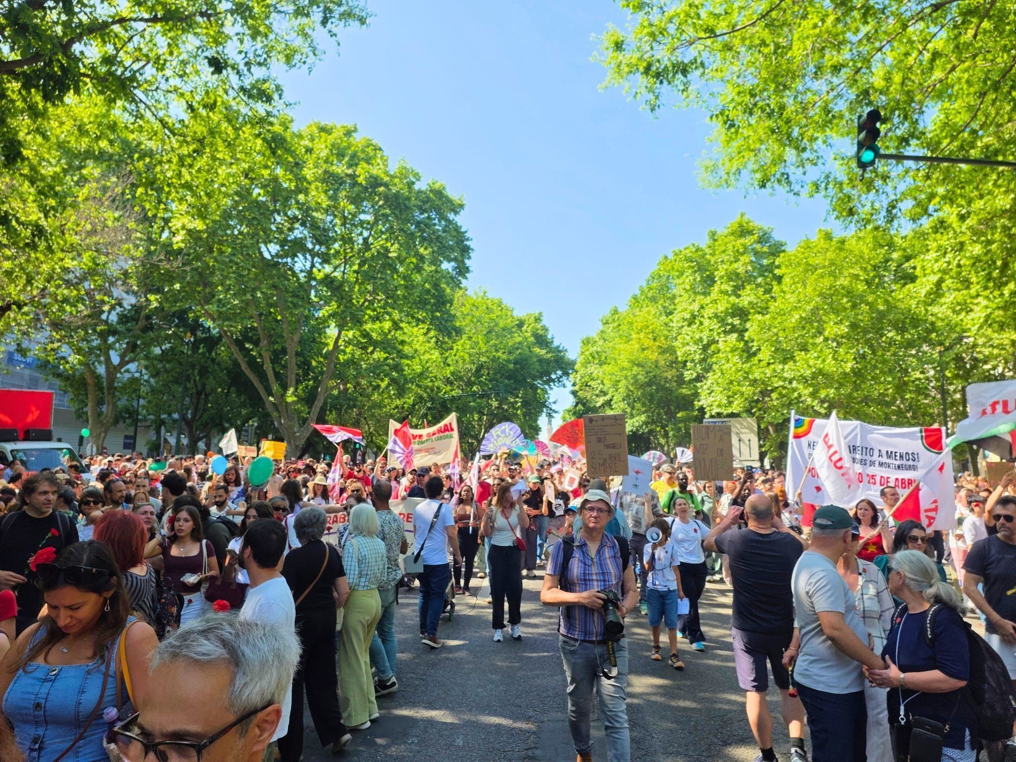 Avenida da Liberdade, em Lisboa • José Manuel Diogo