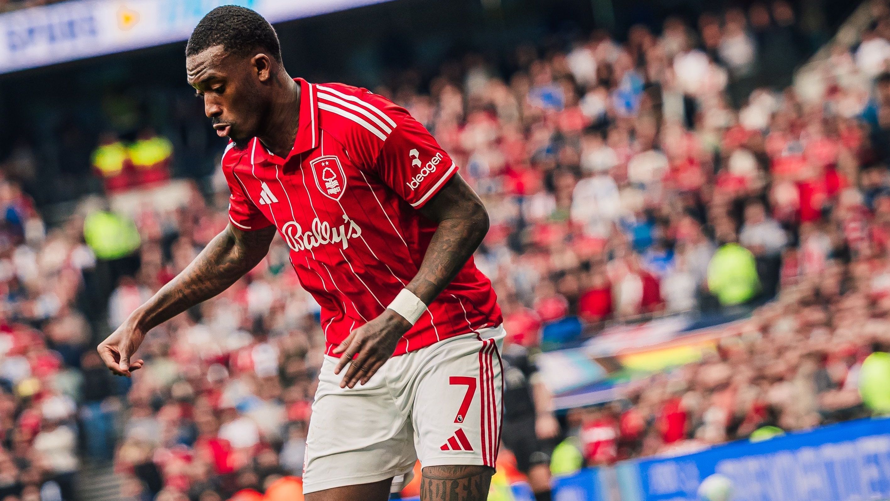 Callum Hudson-Odoi, do Nottingham Forest