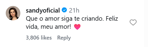 Sandy se declara para o namorado, Pedro Andrade, em publicação de aniversário • Instagram/Sandy
