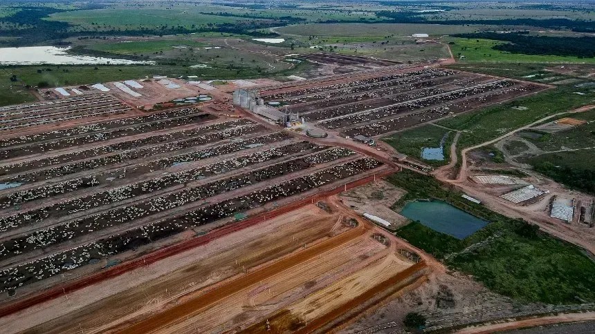Júnior Friboi compra uma das maiores fazendas de confinamento do Brasil