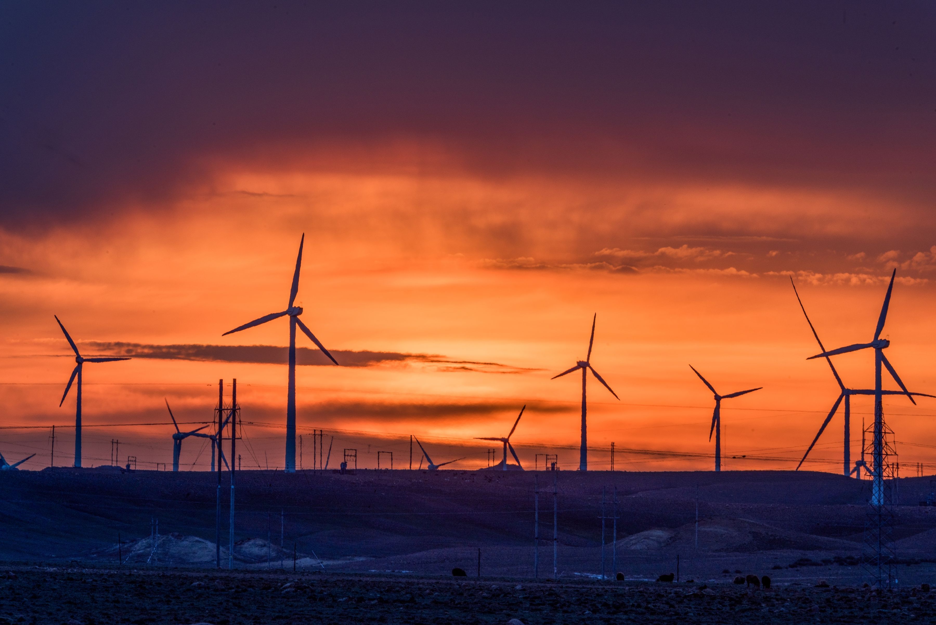 Wind Farm