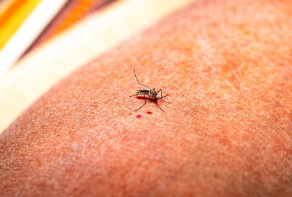 Febre amarela: o que é e quais os principais sintomas