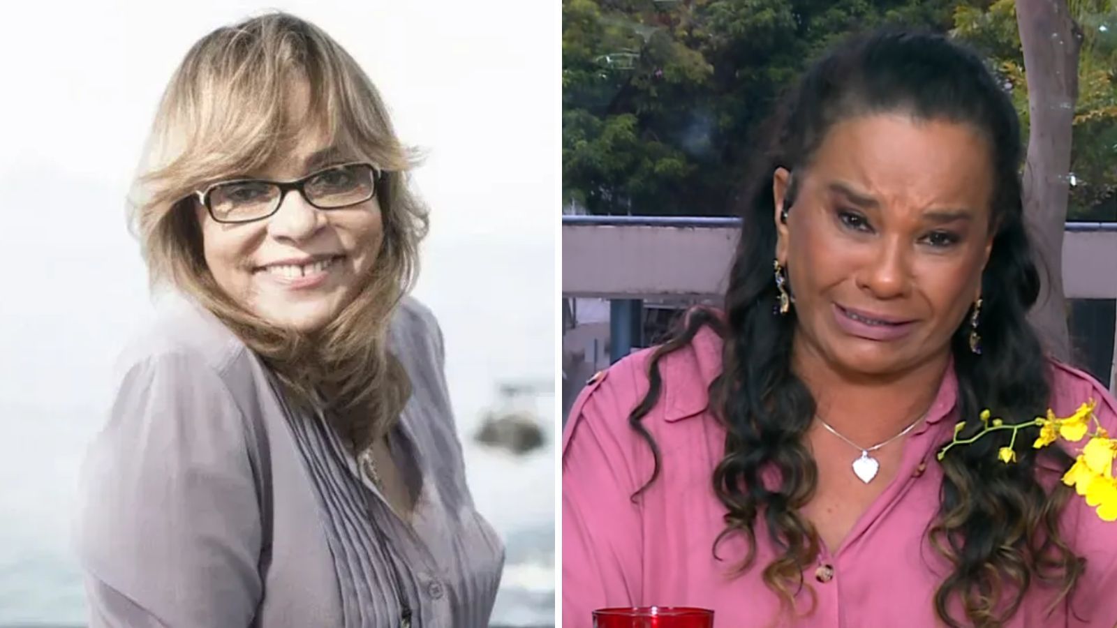 Gloria Perez manda recado para Solange Couto após BBB 26