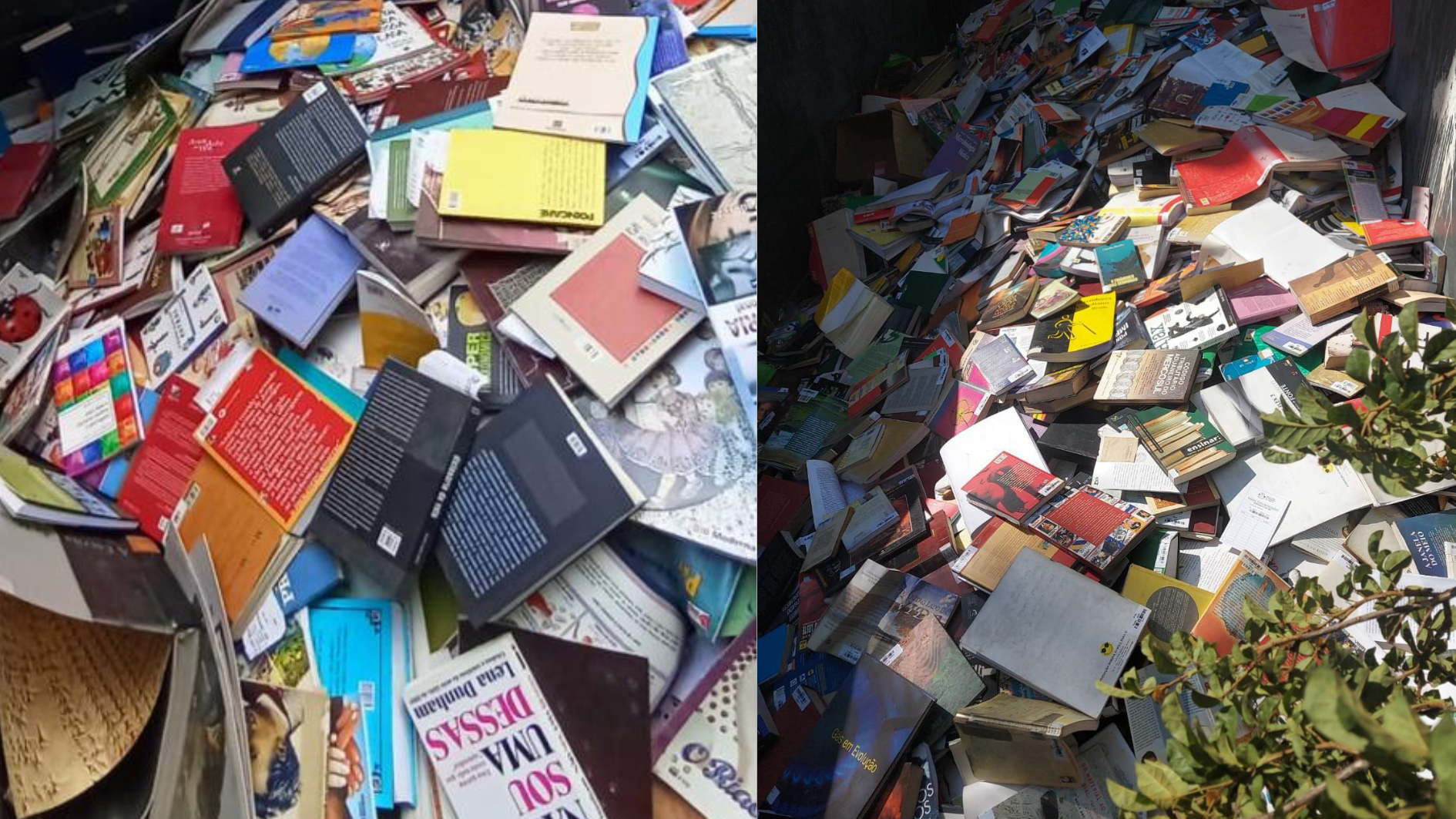 livros