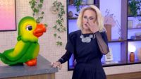 BBB 26: quais participantes ainda seguem os finalistas nas redes sociais?
