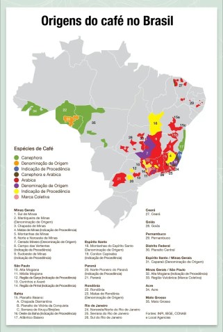 Mapa evidencia as regiões produtoras de café do país e foi organizado pela Associação Brasileira de Cafés Especiais (BSCA) • Divulgação/ BSCA