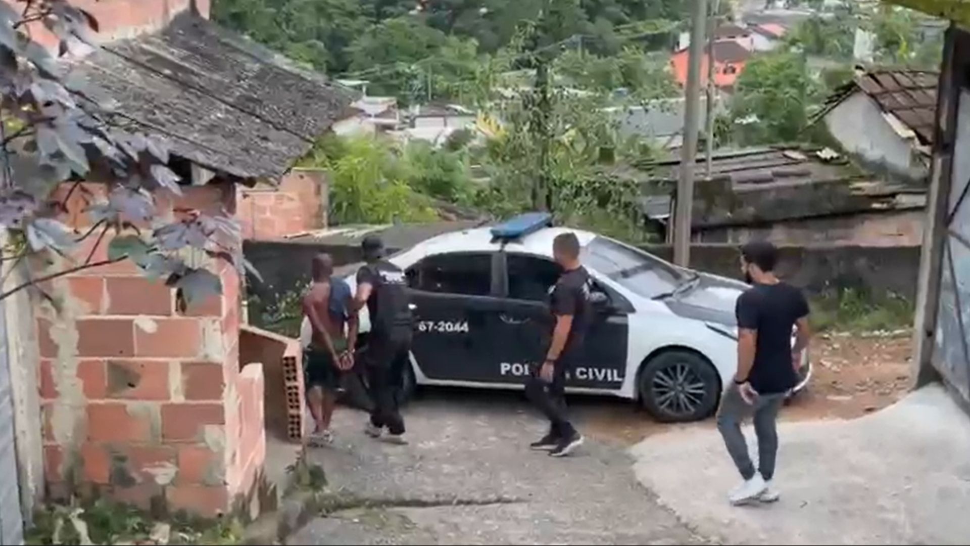 prisão maus tratos animais