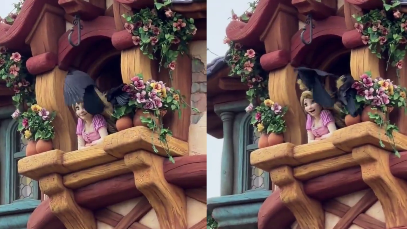 Os visitantes do Tokyo Disney Resort registraram o momento em que corvos estavam comendo o cabelo de um boneco da Rapunzel