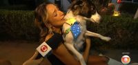 BBB 26: Samira protagoniza reencontro emocionante com o cão Lindolfo