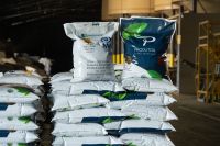 Cooperativa vende primeiro lote de café especial descafeinado ao Japão