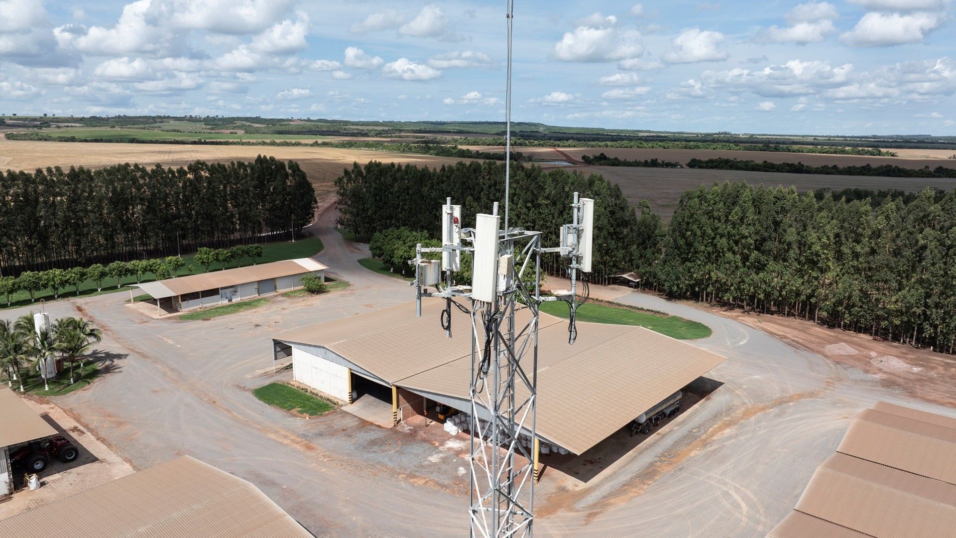 Torre de transmissão de telefonia da TIM em fazenda