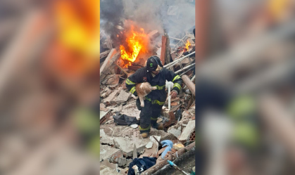 Cães são recuperados em incêndio em Jaguaré
