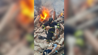 Cães sobrevivem a explosão e são resgatados pelos bombeiros em SP